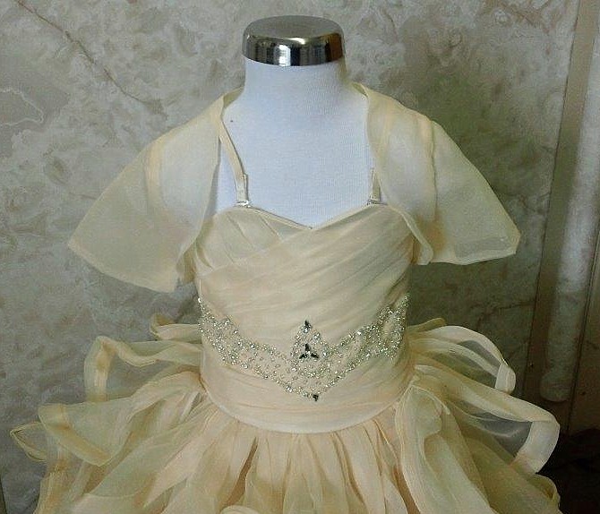 Princess Wedding Gowns For Your 2 Year Old Flower Girl.